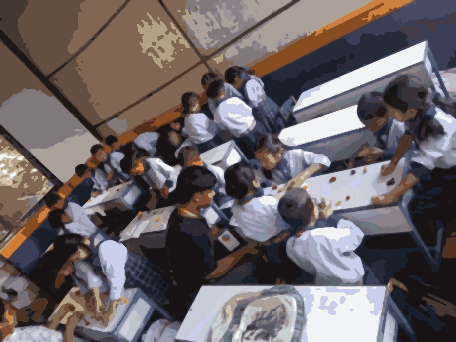 Shine model school