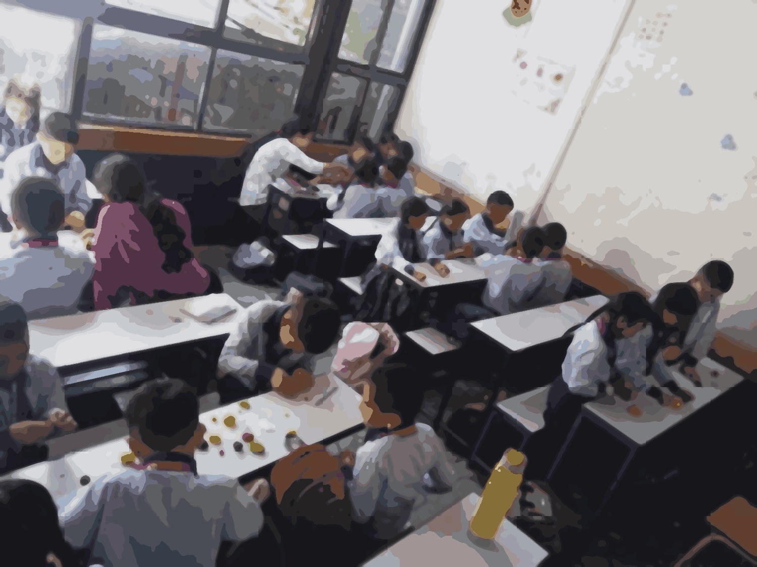 Shine model school