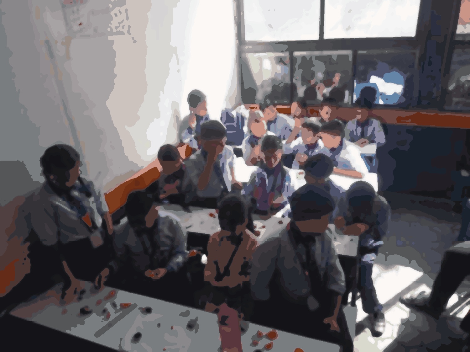 Shine model school
