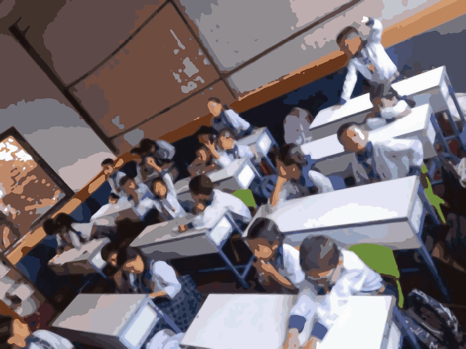 Shine model school