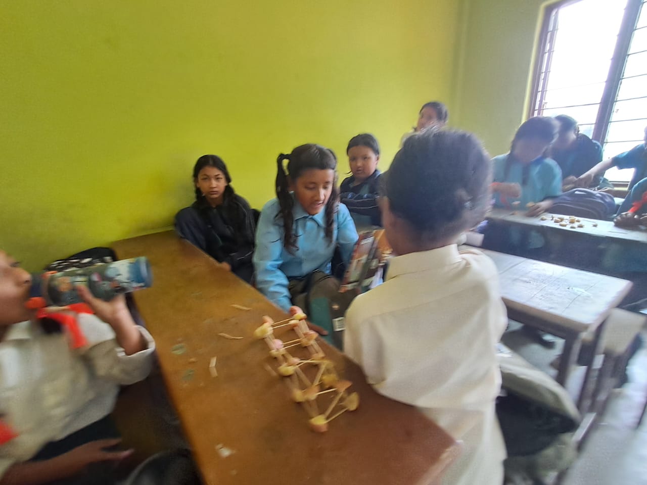 Shree Janauddhar secondary school