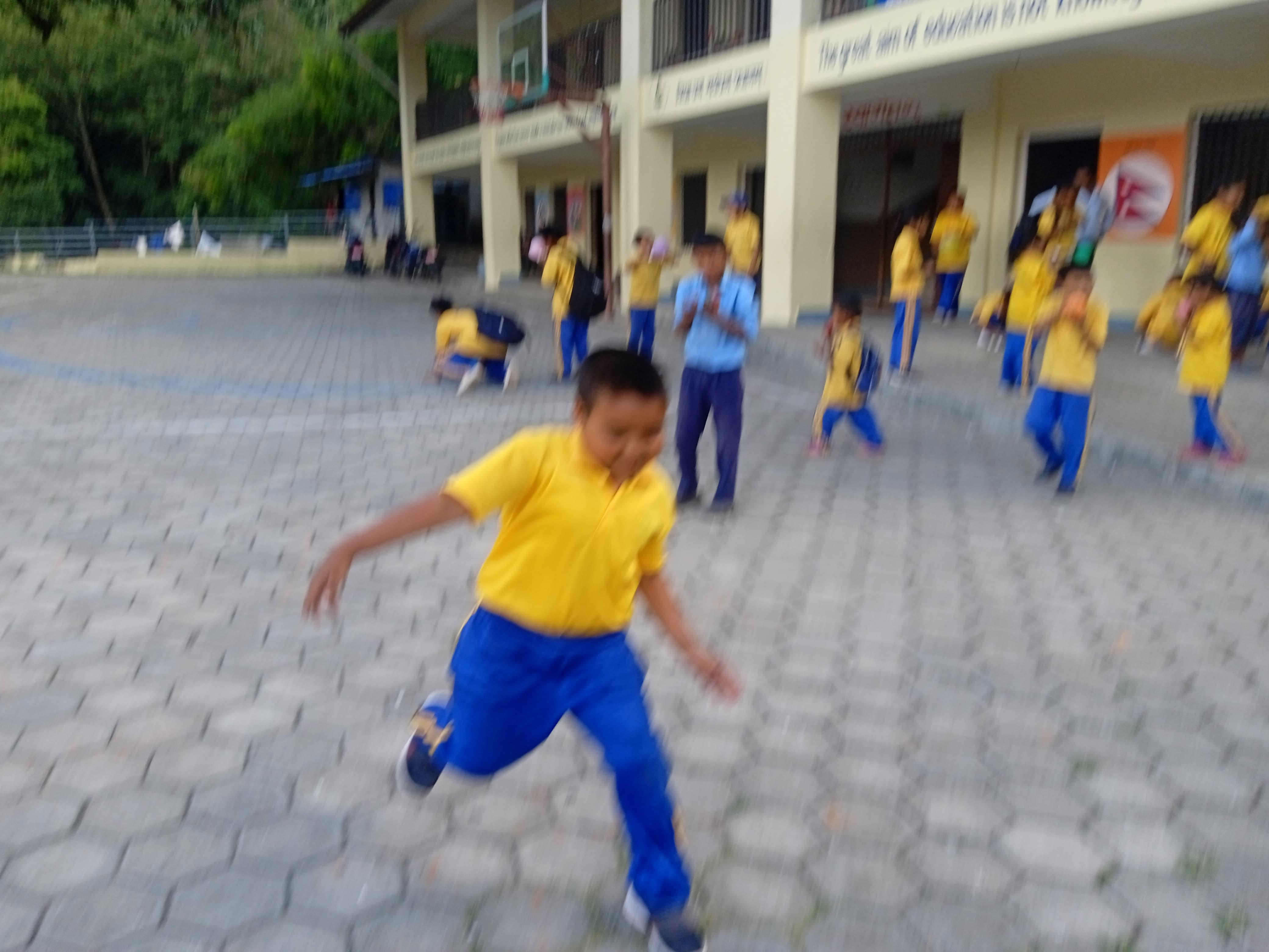 Shree Saraswoti basic school