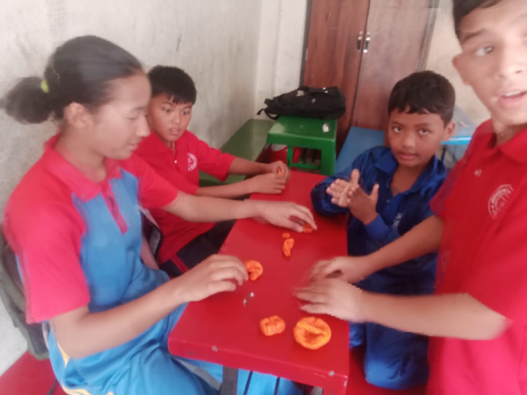 Shree shitapaila Higher secondary school
